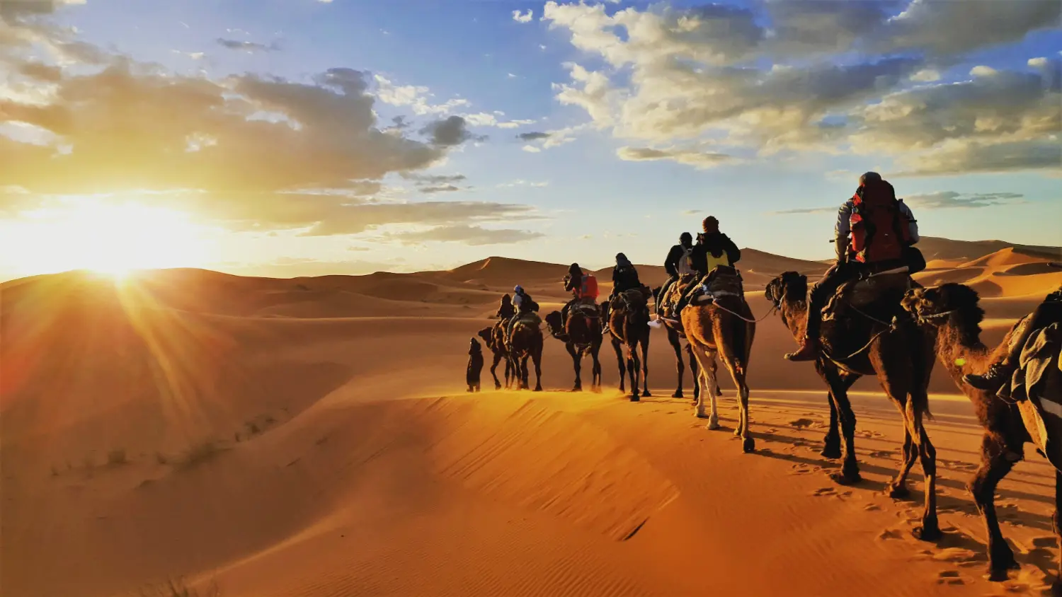 The Sahara, the Indian Ocean and the Barbary coast