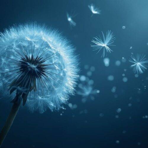 Dandelion Health Benefits